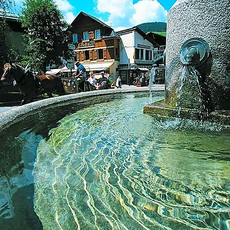 Hotel Sylvana *